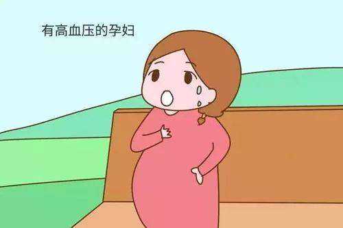 深圳试管婴儿医疗机构精选与服务解析